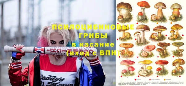 тгк Медногорск